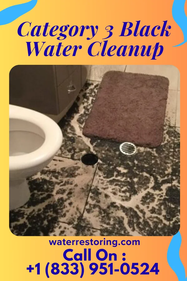 Category 3 Black Water Cleanup in Malinta, OH