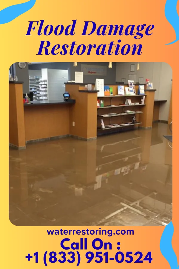 Flood Damage Restoration in Malinta, OH