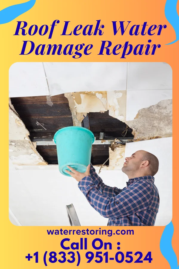 Roof Leak Water Damage Repair in Malinta, OH