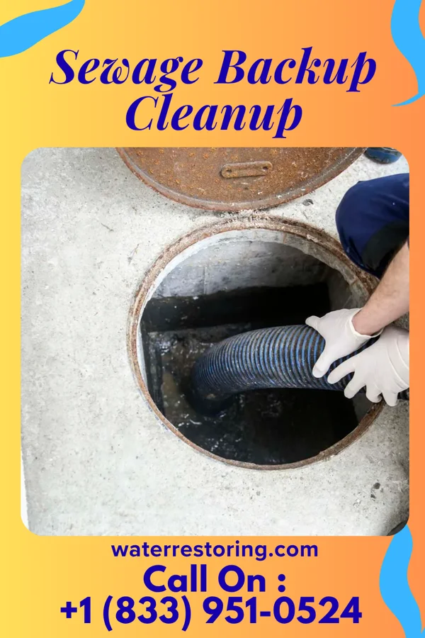 Sewage Backup Cleanup in Malinta, OH