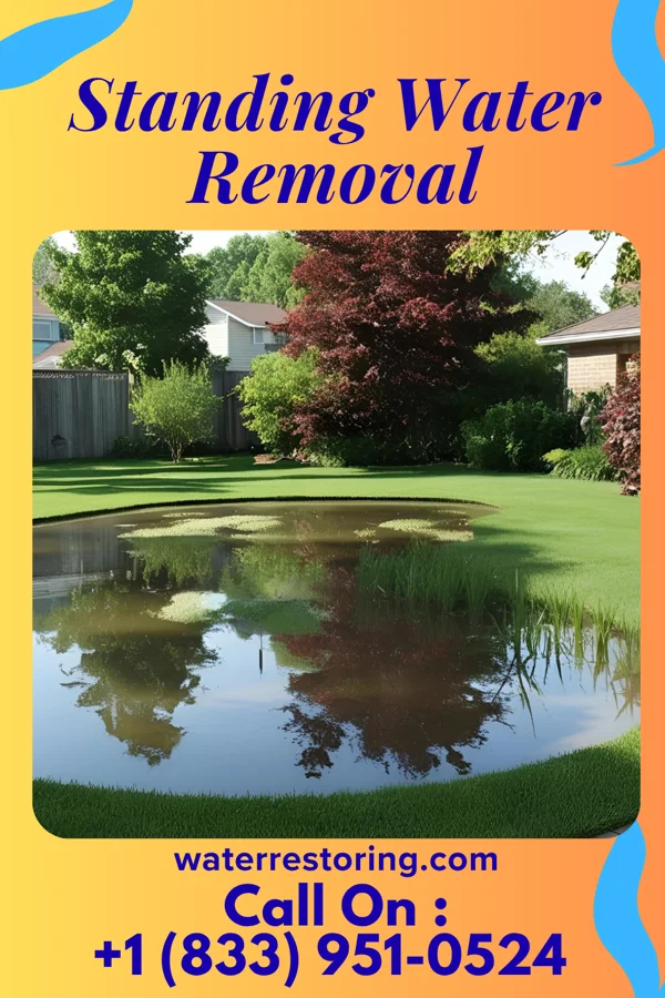 Standing Water Removal in Malinta, OH